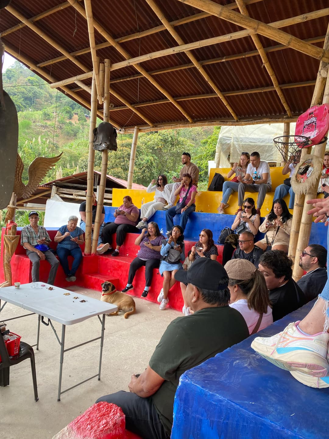 Tour Cafetero 3