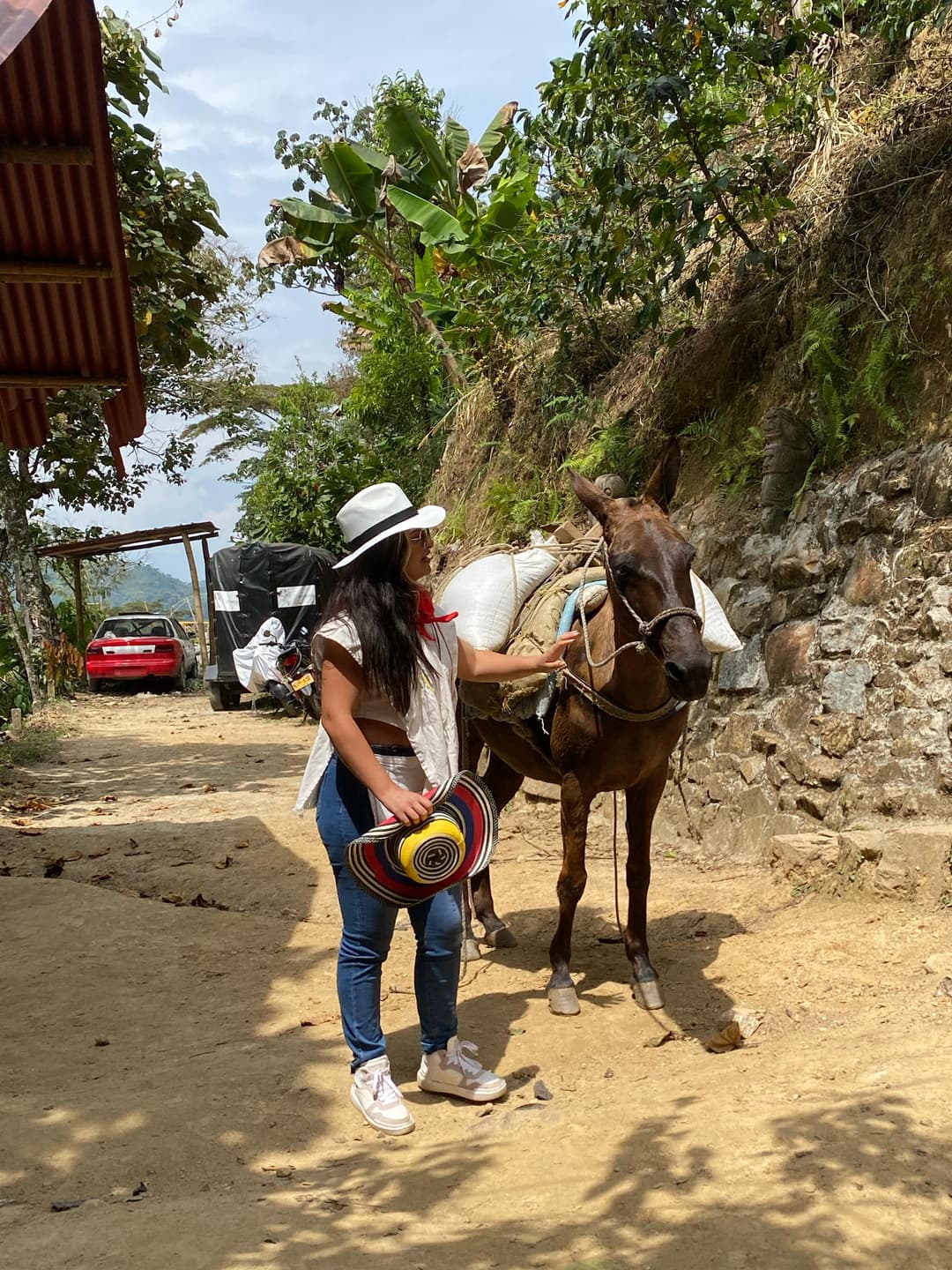Tour Cafetero 4